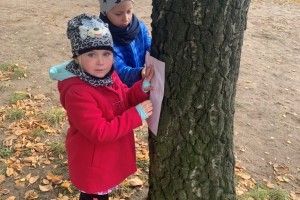 Dzień Drzewa w przedszkolu